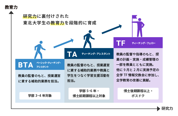 東北大学のTA制度